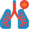 Chronic Medical Conditions